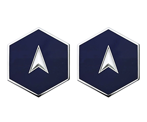 Space Force E1 Specialist 1 Metal Rank Insignia